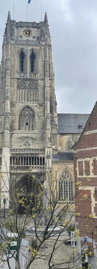 Domus Basil Villa Tongeren Buitenkant foto